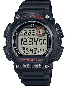 CASIO Collection WS-2100H-1AVD